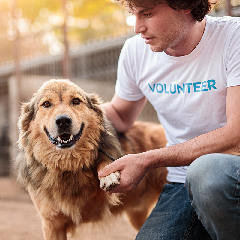 Volunteer holding a rescued dog
